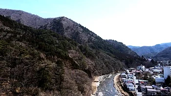 hairy,hardcore,japanese,asian