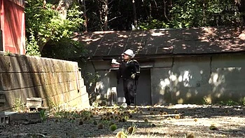 female-orgasm,asian,compilation