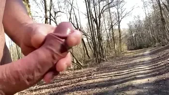 outdoor,erection,cumshot,dick,public