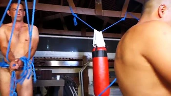 masturbation,doggy-style,handjob,blowjobs,cowgirl