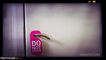 lingerie,american,pornstar,brunette,european