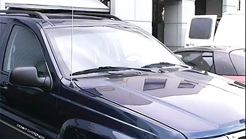 oral,hd,babe,blowjob,shaved