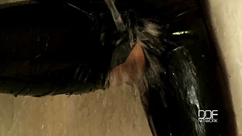 solo-female,brunette,asian,bdsm,milf