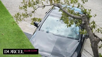 stockings,babe,cowgirl,suspenders,small-boobs