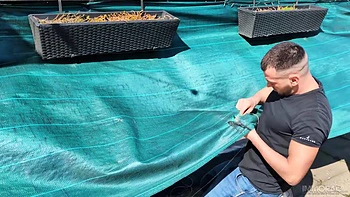 blowjob,tattoo,big-cock,blonde,big-tits