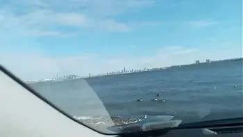 fingering-pussy,waterfront,masturbation,bbw,outdoor