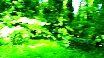 babe,pov,brunette,blowjob,small-tits