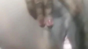 desi-amateur,indian-amateur,indian,hirsute,indian-hd