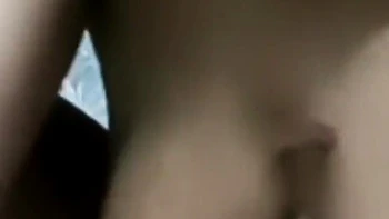 hairy,amateur,desi,indian-hd,homemade