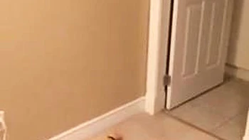 anal,doggy-style,pov,big-tits,blonde