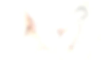 gangbang,deepthroat,brunette,hardcore,anal