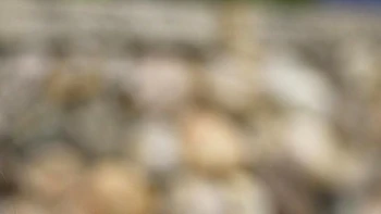 lingerie,solo-female,romanian,big-tits,high-heels