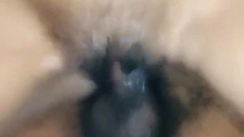 indian,amateur,hd,desi,phone