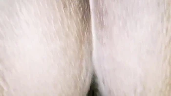 hd,amateur,indian-amateur,indian-hd,homemade