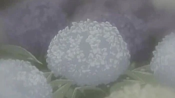 hd,hentai,big-tits,japanese,hardcore