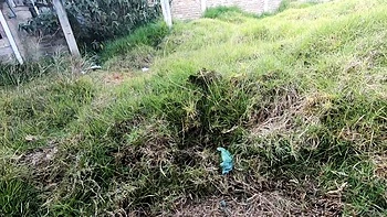 hardcore,blowjob,milf,big-cocks,close-up