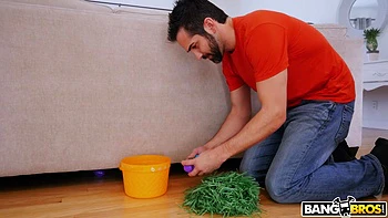 italian,anal,brunette,big-tits