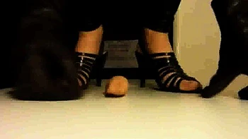 fetish,amateur,bdsm,femdom,foot-fetish