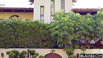 teen-18,dick,brunette,shaved,big-cock