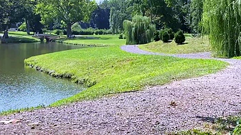 hd,outdoor,brunette,blowjob,pov