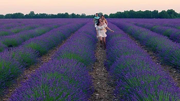 pornstars,pussy,outdoor,ffm,threesome