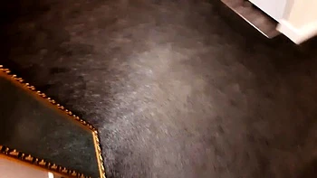 amateur,pov,european,hardcore,german