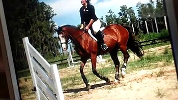 solo,big-tits,webcams,amateur,tits