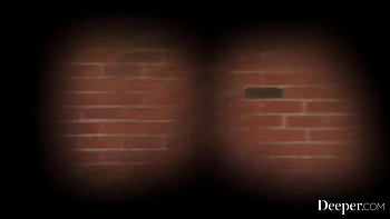 hirsute,lingerie,cunnilingus,facial,69