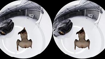 cowgirl,hardcore,compilation,vr-porn