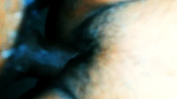 hairy,lingerie,pornstar,amateur