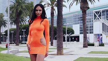 dress,moaning,reverse-cowgirl,anal,blowjob