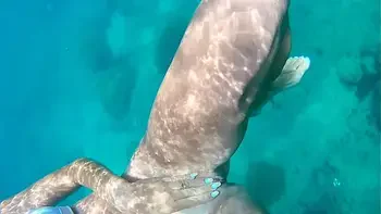 natural-tits,slut,beach,bikini,water