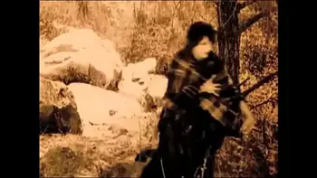 hairy,zoological,pet,horse,beast