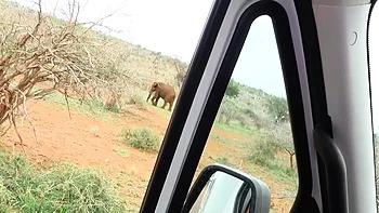 amateur,interracial,reality,hd,hidden-cams