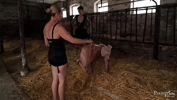 big-ass,booty,submissive,femdom,hd